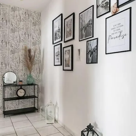 Le Center Spacieux Et Chic Appartement